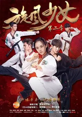 旋风少女第二季：热血格斗，再续都市传奇