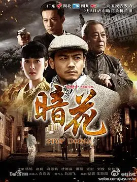 暗花电视剧版：时代变迁中的爱情与阴谋解密