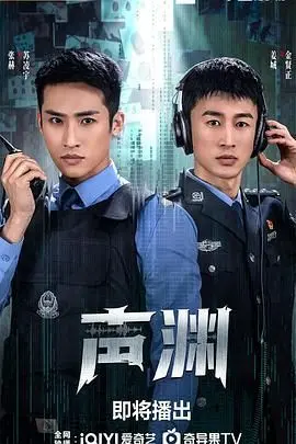 《声渊》：被遗忘的哭泣，寻找真相的迷途，年度悬疑佳作深度解析